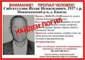 В Нижнекамском районе нашли тело пенсионера, пропавшего в конце марта - НТР 24