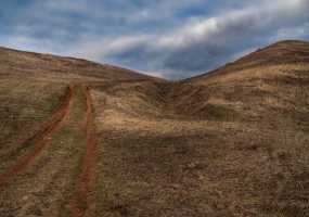 В Нижнекамске около двух градусов тепла и солнечно, вновь ожидаются заморозки - НТР 24