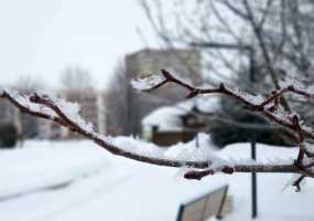 Народные избранники хотят облегчить труд россиян в зимний период - НТР 24