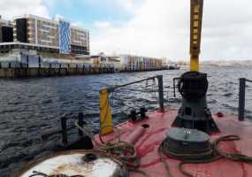 В Нижнекамске начали готовиться к пляжному сезону - НТР 24