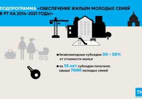 В Татарстане более 50 молодых семей получат субсидии на покупку жилья - НТР 24