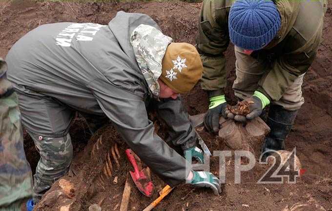 Поисковый отряд «Нефтехимик» из Нижнекамска обнаружил под Волгоградом 62 бойца