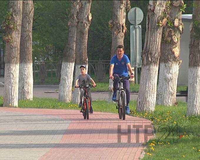 Жителей Нижнекамска призывают приехать на работу на велосипеде