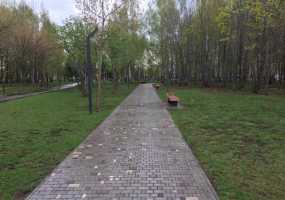 В Нижнекамске прогремели первые весенние грозы, ожидаются осадки - НТР 24