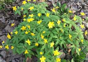 В воскресенье в Нижнекамске возможны грозы и дожди - НТР 24