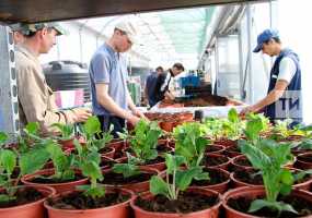 Маркировка по ГОСТу и сертификаты соответствия: специалисты Россельхознадзора рассказали, как выбрать качественные семена и посадочный материал - НТР 24