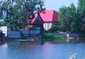 Двое жителей Нижнекамска пострадали от укусов гадюк - НТР 24