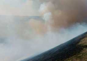 Число возгораний сухой травы в Нижнекамском районе выросло почти в два раза - НТР 24