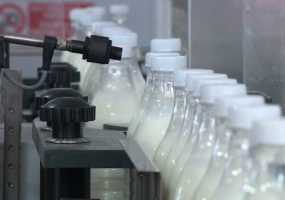 Неизвестные хотят запятнать репутацию молочного комбината из Нижнекамска