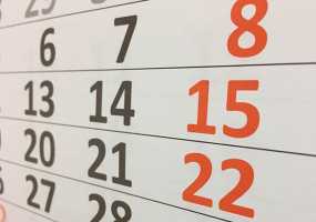 В России хотят сократить новогодние каникулы - НТР 24