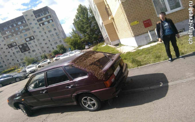 В Татарстане пчелиный рой облепил автомобиль