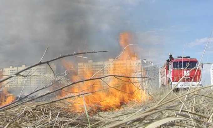 Нижнекамск лидирует среди районов Татарстана по количеству случаев возгорания сухой травы