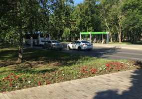 Автомобилистов избавят от судебных споров по ОСАГО, а супруги смогут составить совместное завещание - НТР 24