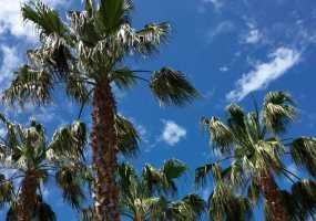 Молодые супруги скончались от загадочной болезни на отдыхе в Фиджи - НТР 24