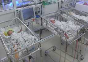 В следующем году вырастет размер материнского капитала - НТР 24