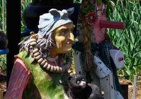 В Нижнекамске на одной из дач поселилась Юлия Тимошенко - НТР 24