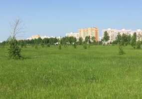 Рабочий день жителей Нижнекамска будет на час короче - НТР 24