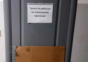 Селин Дион оставила концерт из-за зрителя, который захотел в туалет - НТР 24