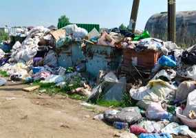 Садоводческие товарищества Нижнекамска утопают в мусоре