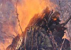 В Нижнекамске повышен уровень пожароопасности лесов