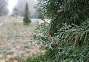 В Татарстане ожидаются ночные заморозки