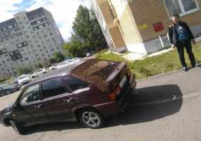 В Татарстане пчелиный рой облепил автомобиль - НТР 24