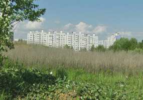 В Нижнекамске 18 градусов, днем возможен дождь с грозой - НТР 24