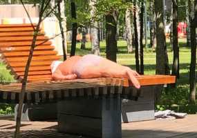 В Нижнекамск возвращается лето - НТР 24