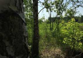 В Нижнекамске продлевают штормовое предупреждение - НТР 24