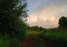 В третьей декаде июня в Нижнекамске установится жара - НТР 24