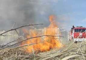 Нижнекамск лидирует среди районов Татарстана по количеству случаев возгорания сухой травы - НТР 24