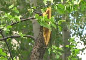 В Татарстане ожидается шквалистый ветер, град и ливни - НТР 24