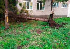 Опубликованы фото и видео последствий урагана в Татарстане - НТР 24