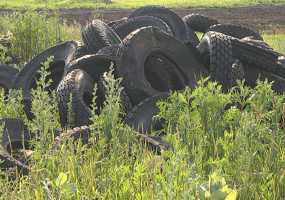 Специалисты обследовали свалку около села Прости и объяснили, почему она горела всю осень - НТР 24
