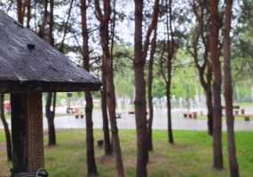 В Нижнекамске +13 градусов, идет дождь - НТР 24