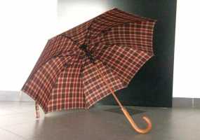 Эксперты назвали самый надежный зонт