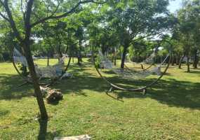 В Нижнекамске появился новый вид мошенничества, связанный с внутренним туризмом - НТР 24