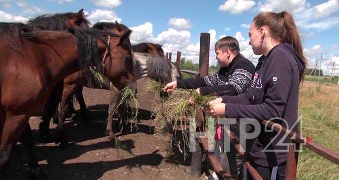В Нижнекамске запущен тревел-проект для людей с ограниченными физическими возможностями