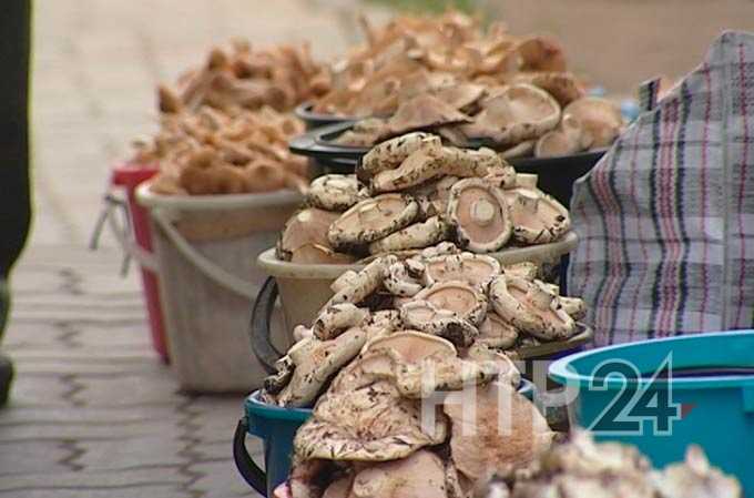 Жительница Нижнекамска отравилась грибами