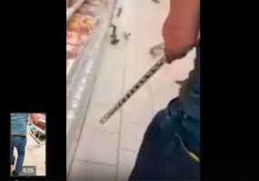 Сотрудники «Пятерочки» устроили охоту на крыс в магазине