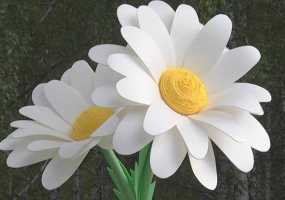 В Нижнекамске +20 градусов, ожидаются дожди - НТР 24