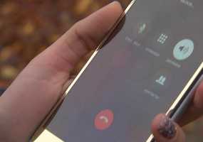 Какие претензии имеют россияне к «большой четверке» - НТР 24