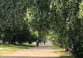 Прогноз погоды на 12-е июля: ожидаются грозы и дожди - НТР 24