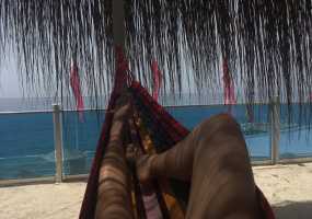 Туристка из России сошла с ума на Бали и легла в психбольницу - НТР 24