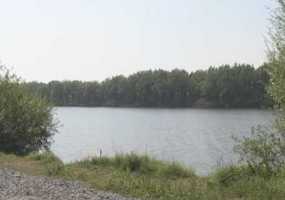 В Нижнекамском районе нашли тело «охотника за металлом» - НТР 24