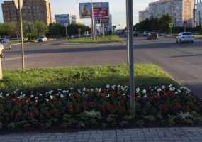 В Нижнекамске у алкомагазина убили женщину - НТР 24