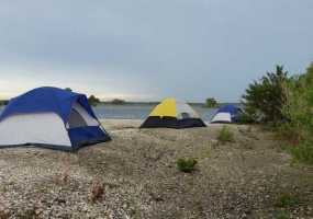 Нижнекамскую молодежь приглашают на туристический слет - НТР 24