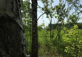 Молодого таксиста из Камских Полян убили пассажиры из Удмуртии - НТР 24