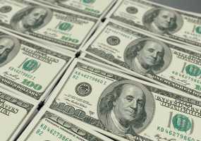 Пес помог своему хозяину стать долларовым миллионером - НТР 24