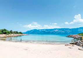 В какой день недели лучше всего выходить на работу из отпуска - НТР 24